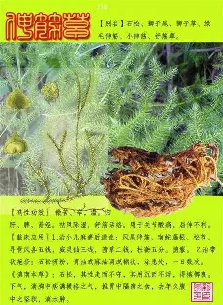 300味中草药彩◇◇谱完整版(含别名,性味归经,功效主治)