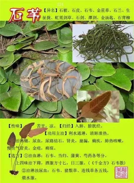 300味中草药彩◇◇谱完整版(含别名,性味归经,功效主治)