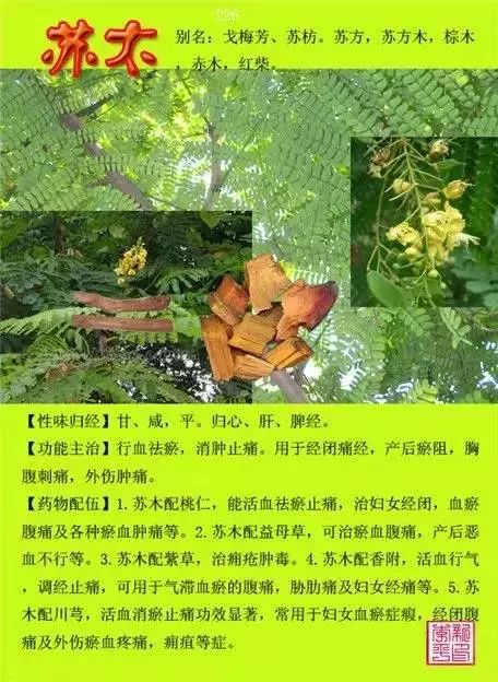 300味中草药彩◇◇谱完整版(含别名,性味归经,功效主治)