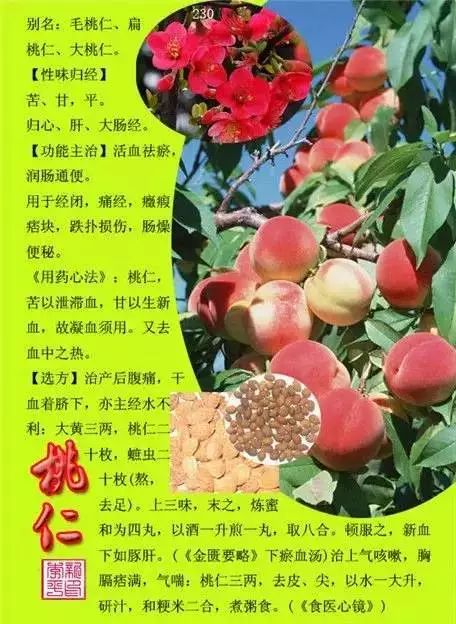 300味中草药彩◇◇谱完整版(含别名,性味归经,功效主治)