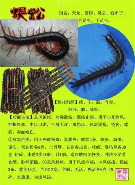 300味中草药彩◇◇谱完整版(含别名,性味归经,功效主治)