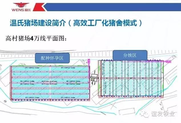 47张图片揭开温氏猪场建设的奥秘