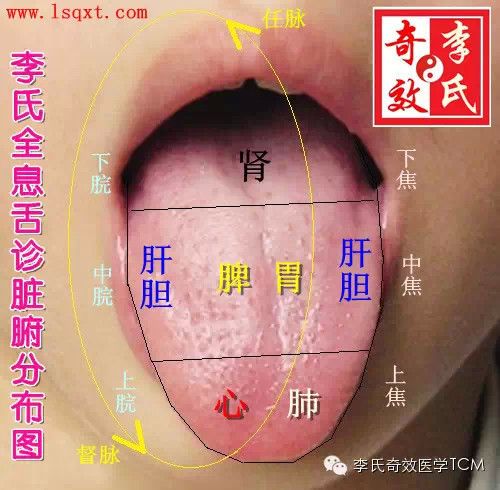 李氏舌诊用药图谱图片