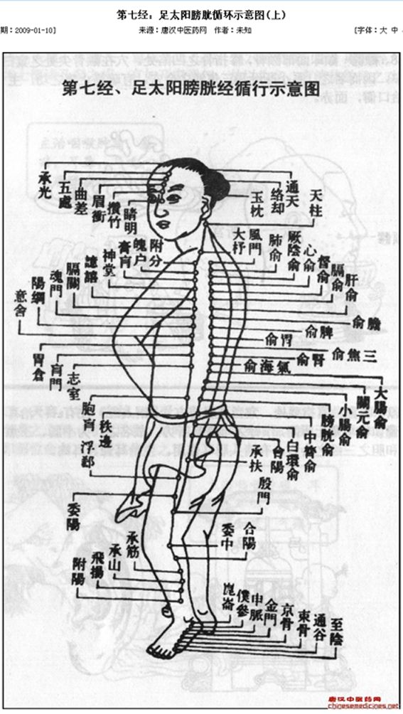 释名功能主治十四经腧穴通解十一足太阳膀胱循环示意图及其穴位功能