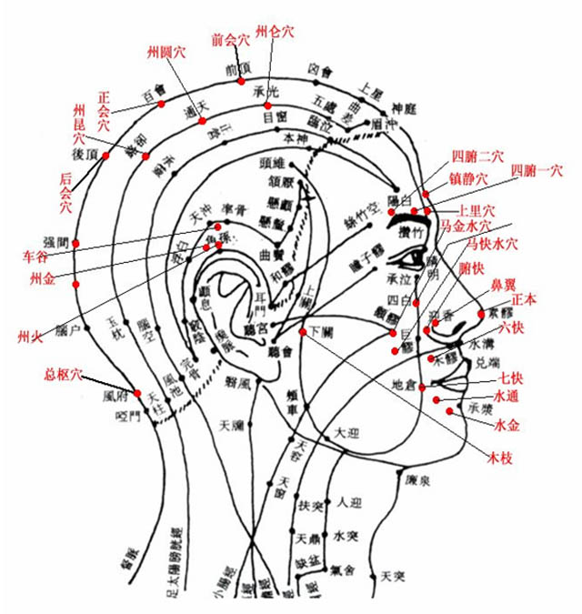 手背图手掌面图http://news.i.gltcm.cn针灸图谱