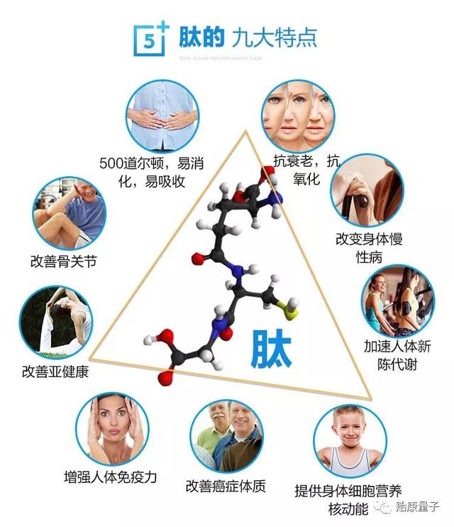 小分子肽真的有那么神奇吗