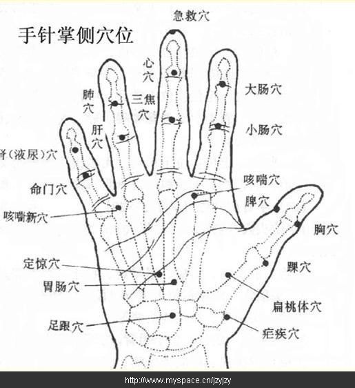 手上六条经络位置图图片