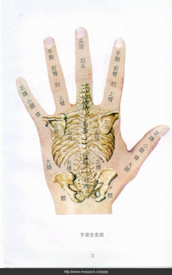 手掌穴位按摩方法