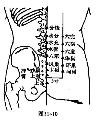 董氏奇穴穴位图