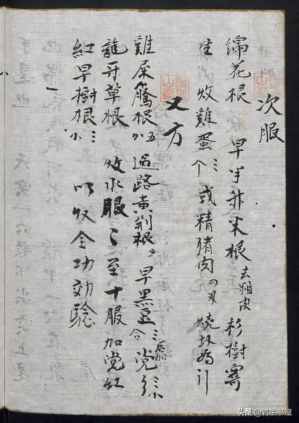 中医古籍谢家秘本中医手抄老药书