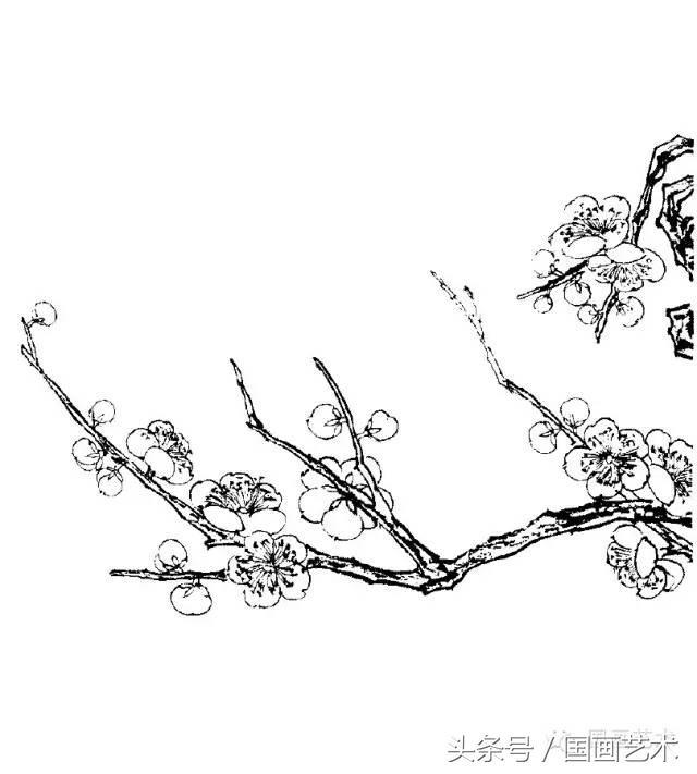 100幅白描梅花绘画手稿练笔用