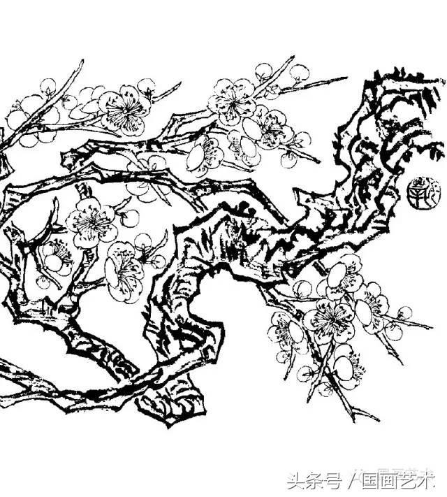 100幅白描梅花绘画手稿练笔用