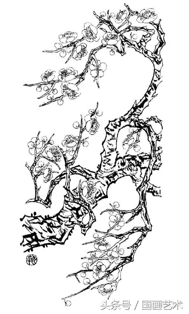 100幅白描梅花绘画手稿练笔用