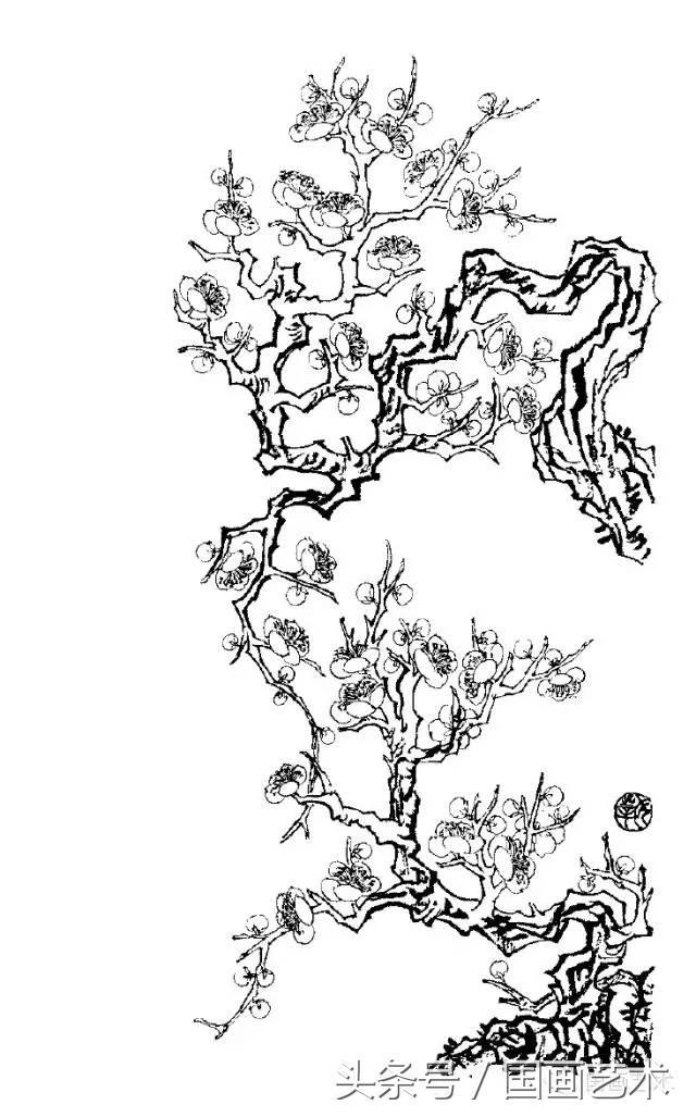 100幅白描梅花绘画手稿练笔用