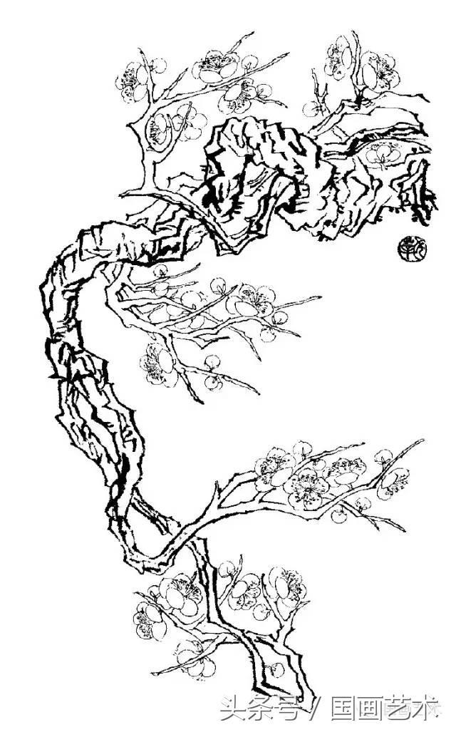 100幅白描梅花绘画手稿练笔用
