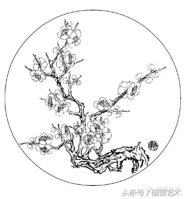 100幅白描梅花绘画手稿练笔用