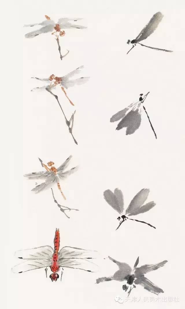 大师教你画草虫