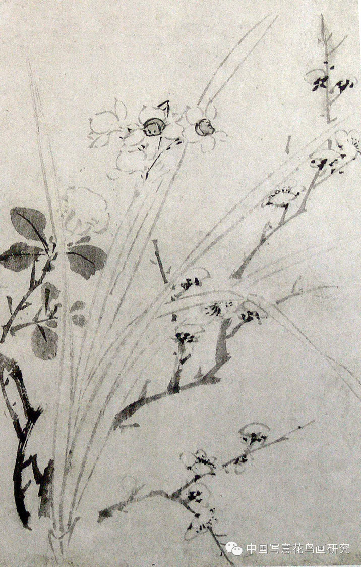 黄居寀 花卉写生图册明 陈淳宋,元,明代每当岁华摇落,拜百卉凋零,水仙