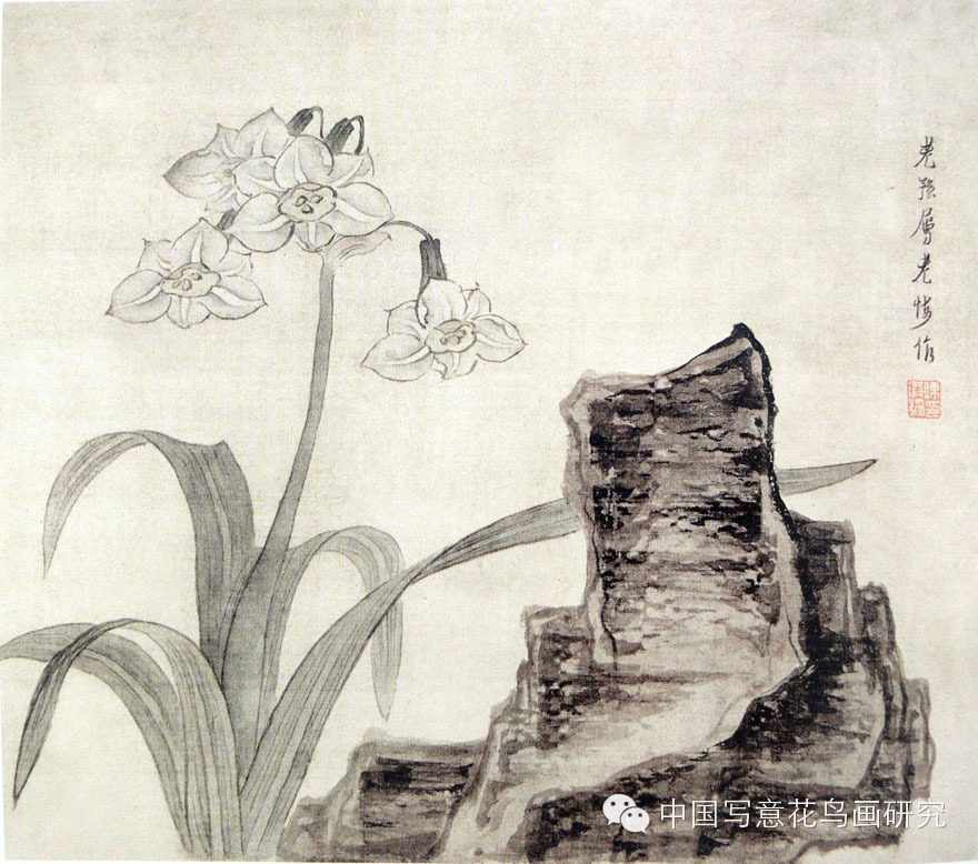 黄居寀 花卉写生图册明 陈淳宋,元,明代每当岁华摇落,拜百卉凋零,水仙