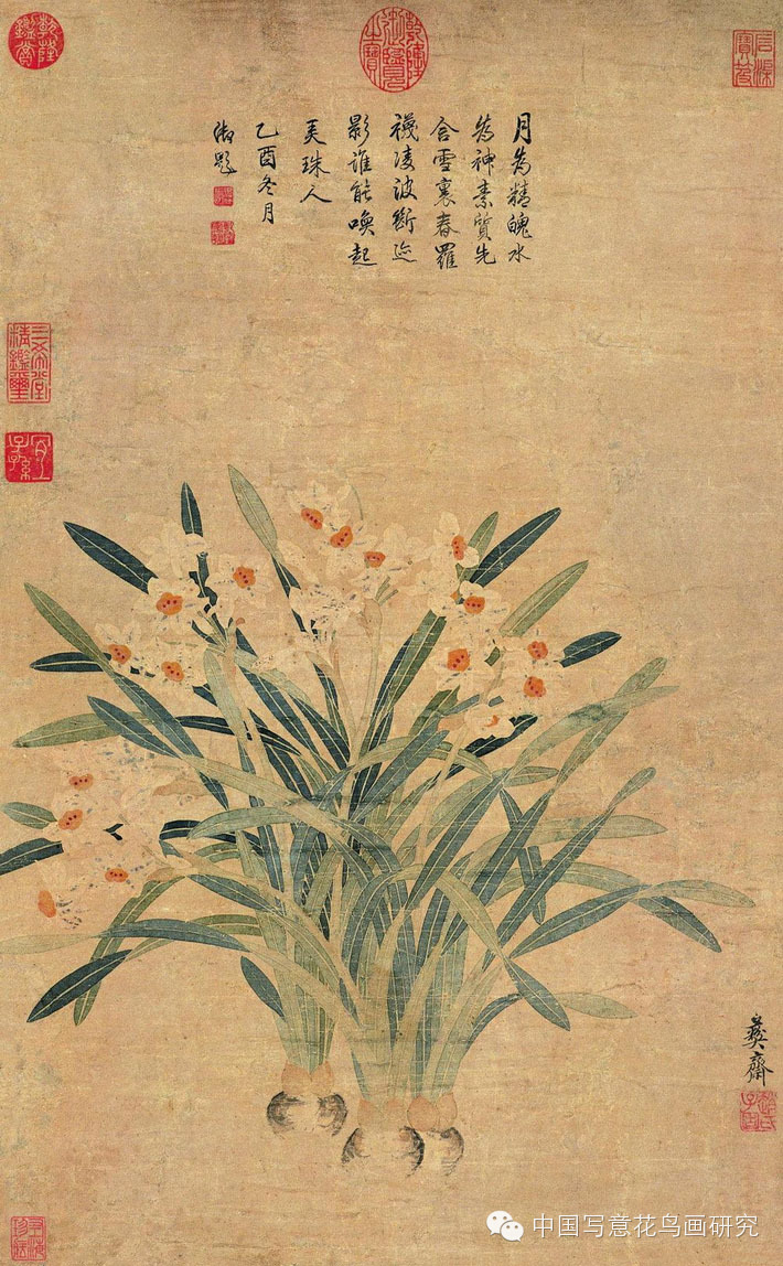 王榖祥,文徵明 摹赵孟坚水僊图卷, 行书水僊花赋明 陈淳 水仙图卷明