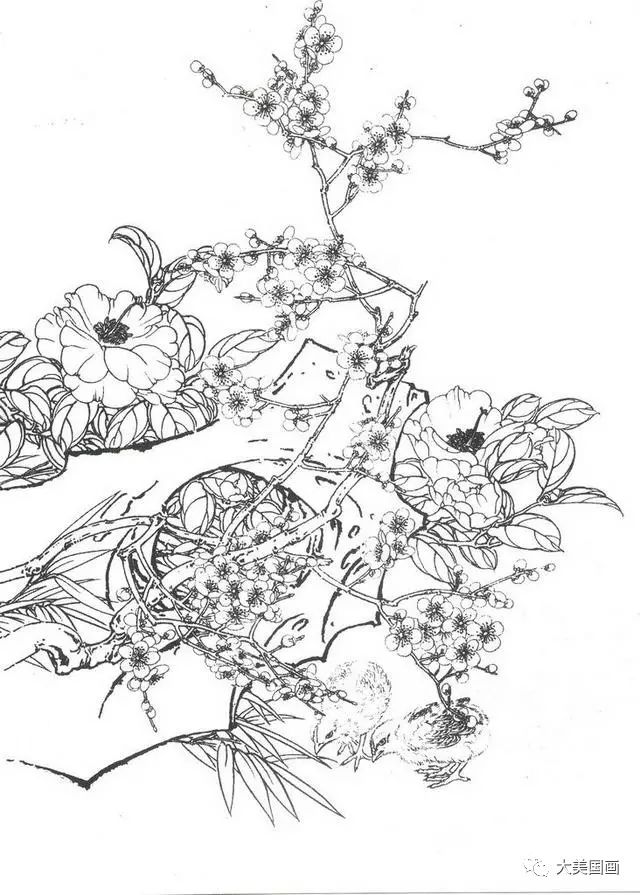 国画技法工笔画中石头的画法教程