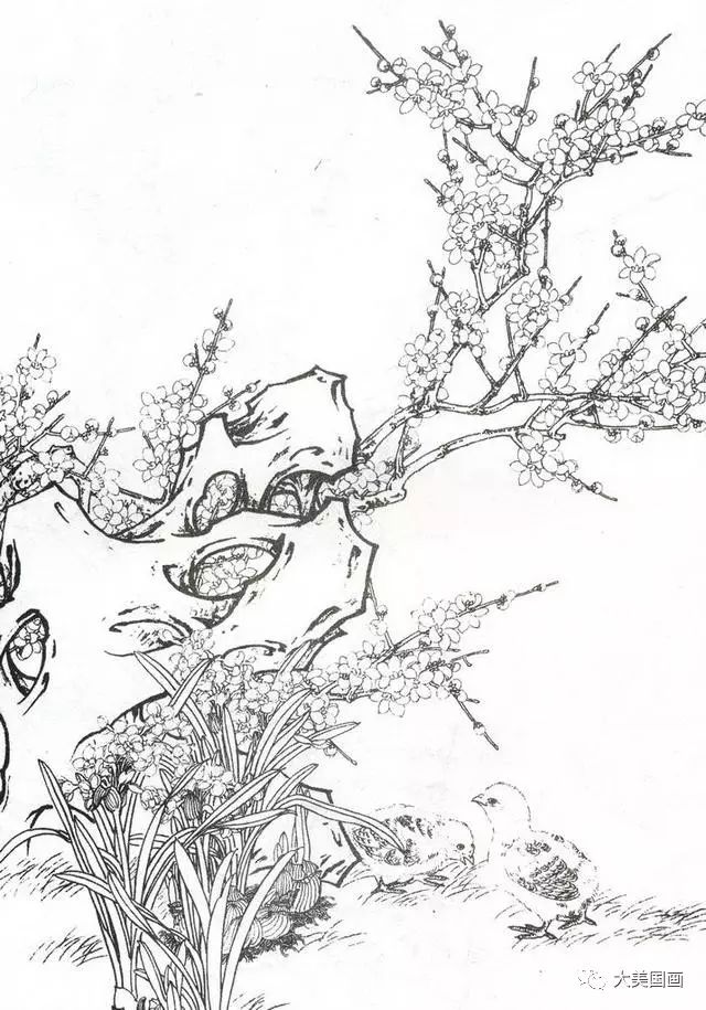 国画技法工笔画中石头的画法教程