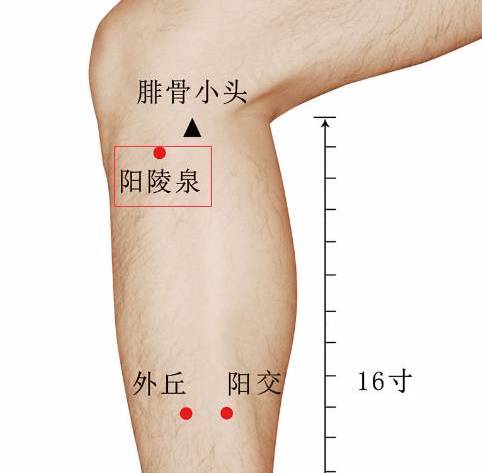 8全能穴:足三里民間一直有