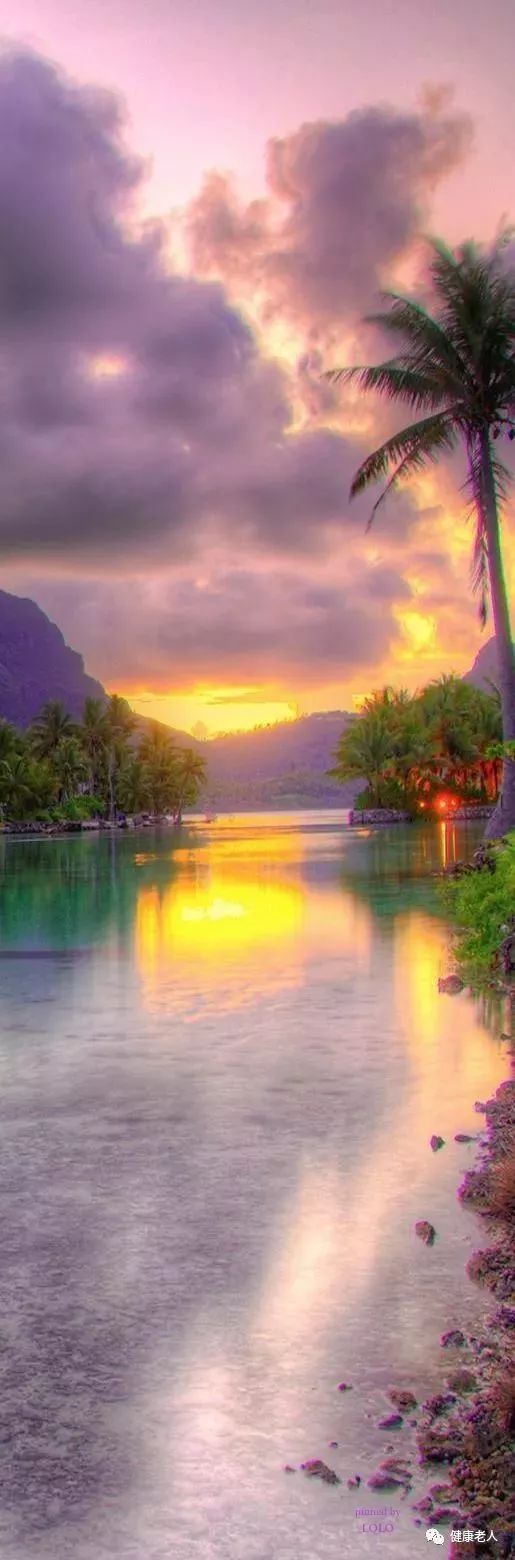 这抓拍太罕见了,闪电击中树的一瞬间!