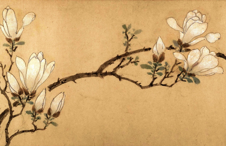 关注文徵明16简静的人物隽逸的花鸟