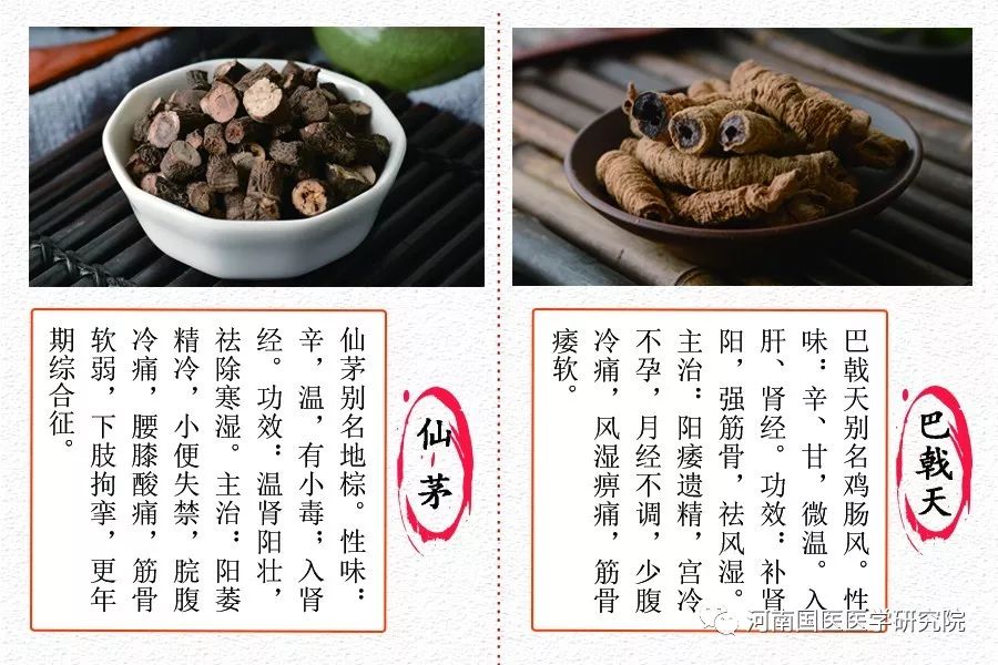 仙茅草功效作用及图片图片