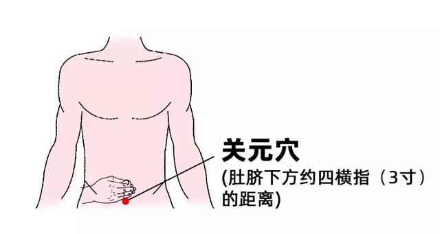 【按摩方法】搓热手掌,用手掌以关元穴为中心摩擦