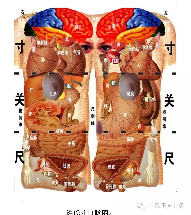 当代中医绝招100讲系列之四许氏脉诊