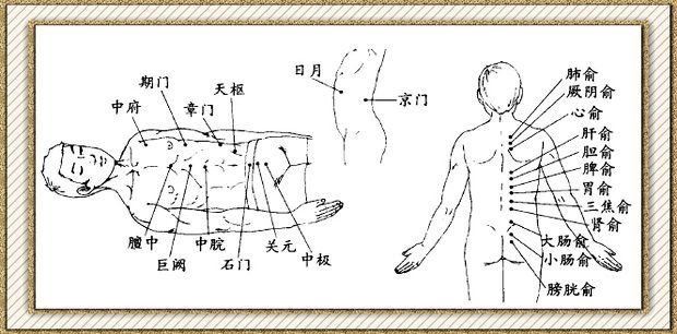 俞穴 位置)俞穴 都位於背腰部足太陽膀胱經上,和臟腑也是一一對應的