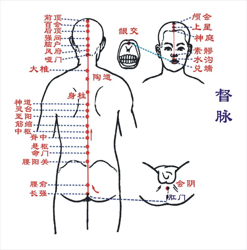 打通任脉督脉_督脉通任脉不通_怎样打通督脉和任脉