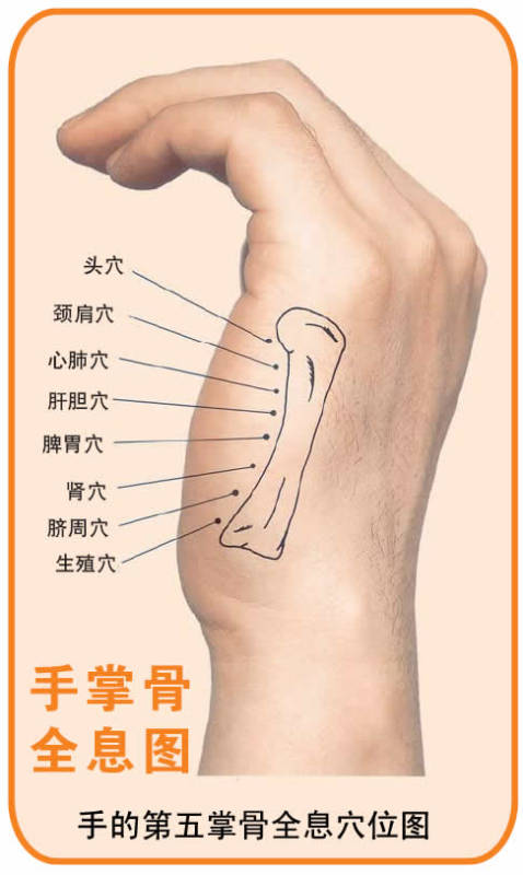 中央電視臺天氣預報每晚實時自動更新男女性人體經絡穴位圖集人體穴位