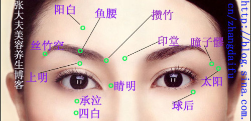 頭部穴位人體經絡穴位圖側面-女性人體經絡穴位圖背面-女性人體經絡