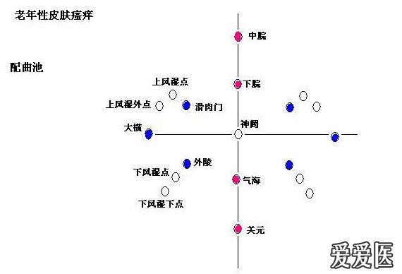 [针灸] 腹针神龟图