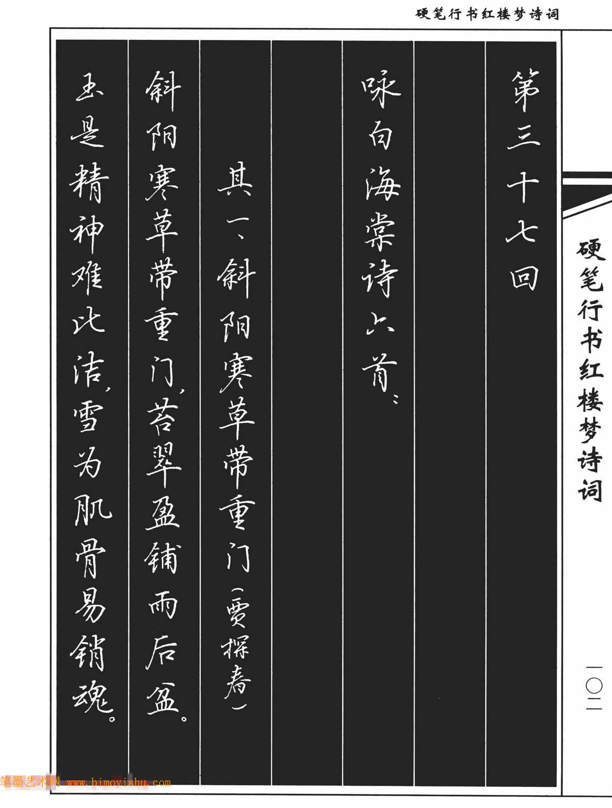 硬笔字帖吴玉生钢笔字帖欣赏硬笔行书红楼梦诗词