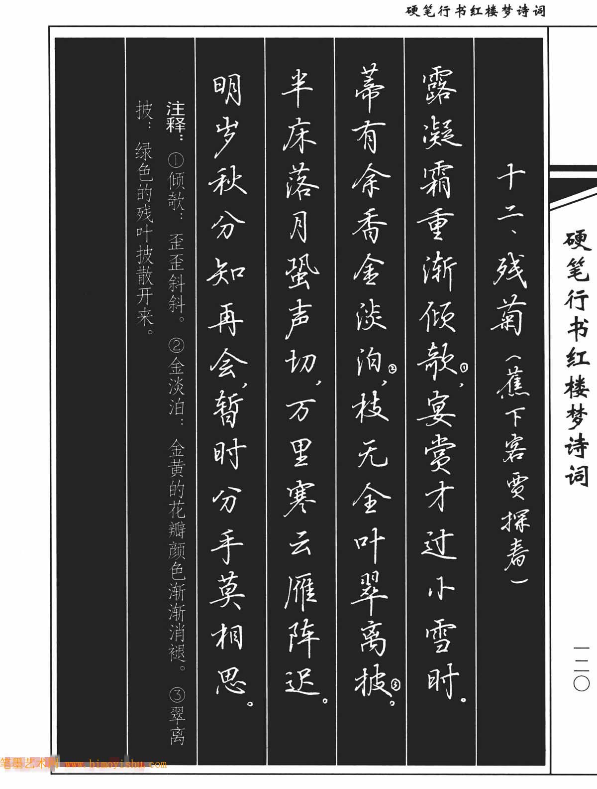 硬筆字帖吳玉生鋼筆字帖欣賞硬筆行書紅樓夢詩詞