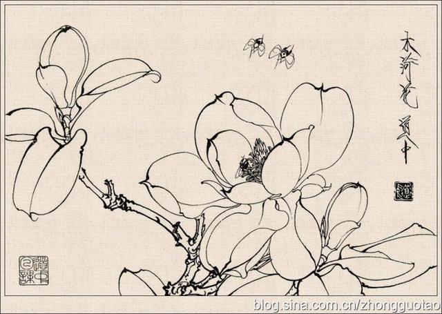 美术书影王道中白描花卉草虫图赏