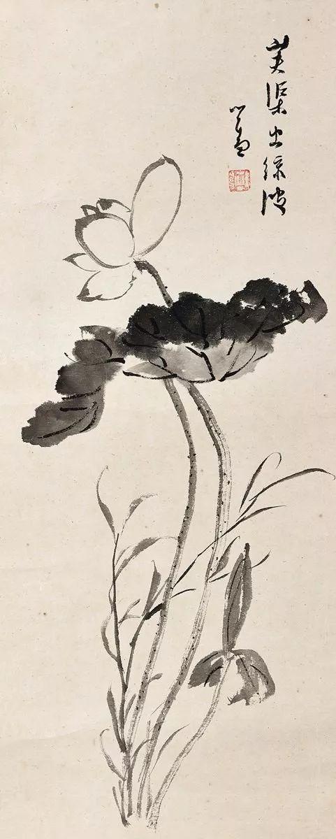 他画的荷花能让你静下来