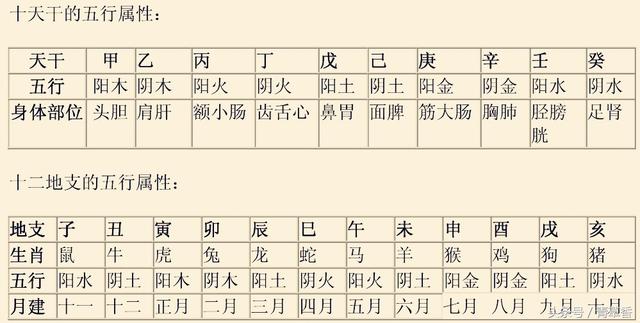 衰表天干十神表地支十神表地支藏幹表五行及八字基礎知識五行五行相生