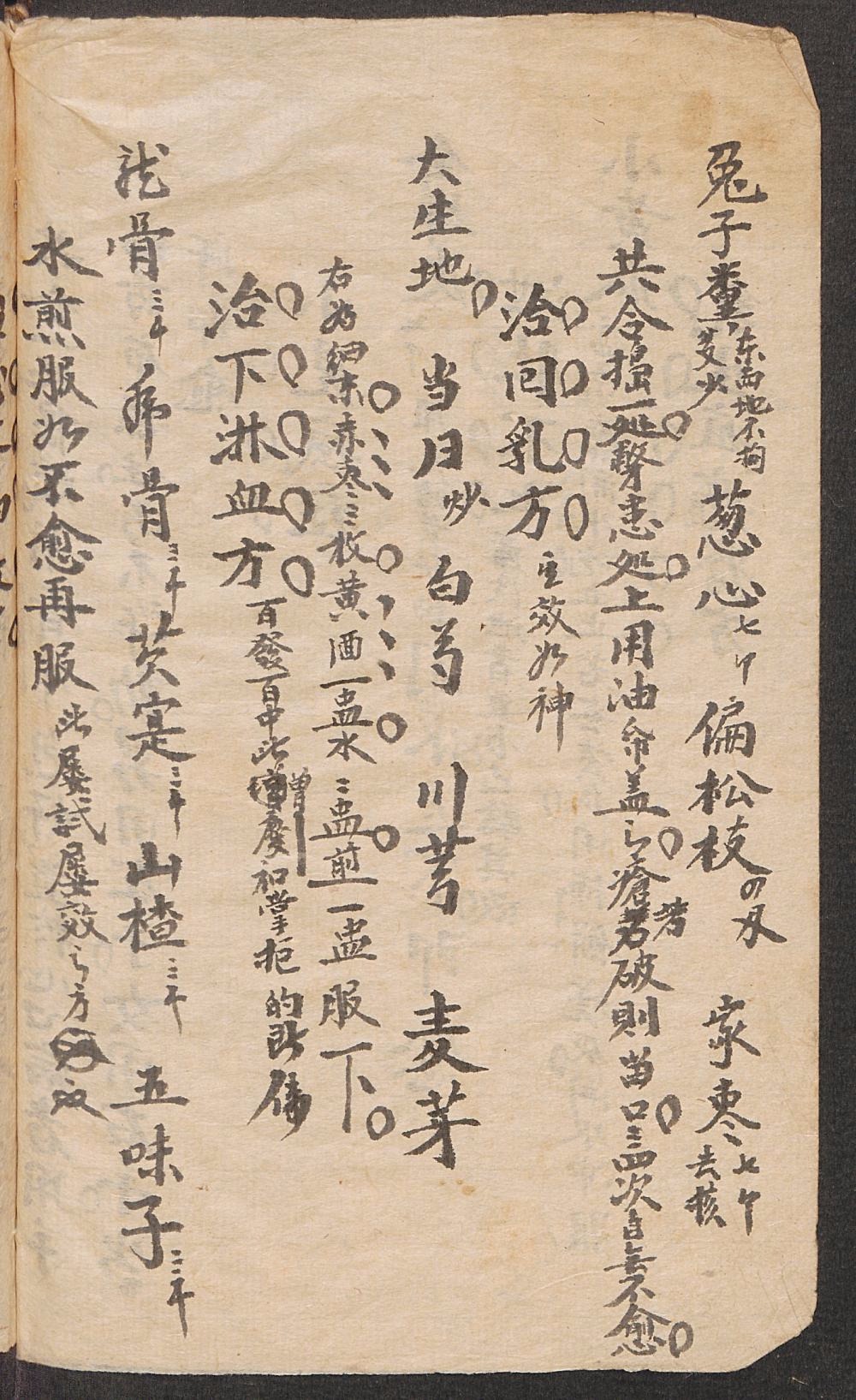 清代袁氏中医抄本八宝太平秘方