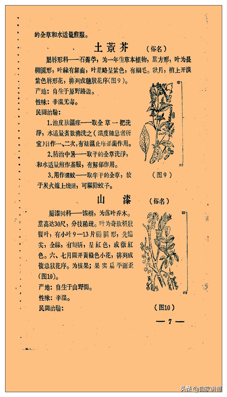 中医类旧书残本闽南民间草药