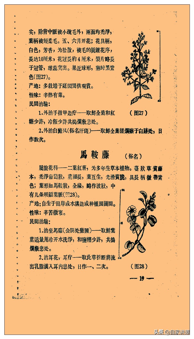 中医类旧书残本闽南民间草药