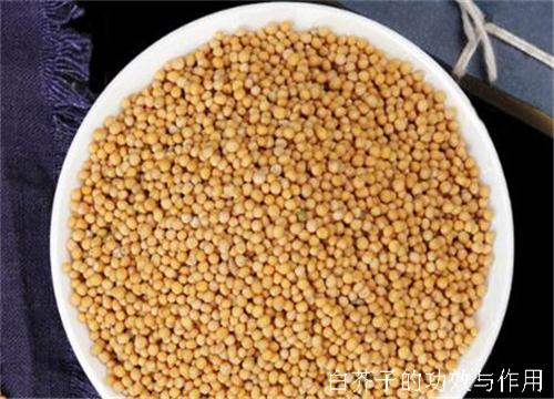 白芥子外敷秘方大全