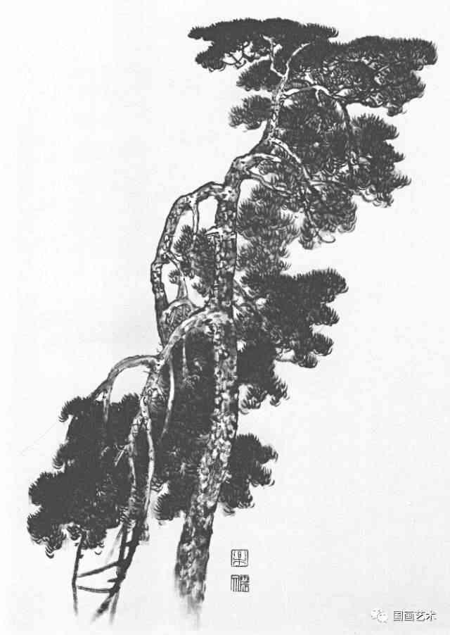 美术素材松树写生图例