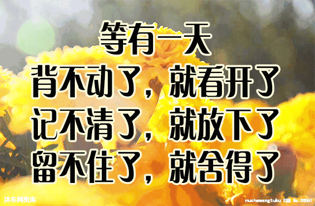 640_420gif 动态图 动图