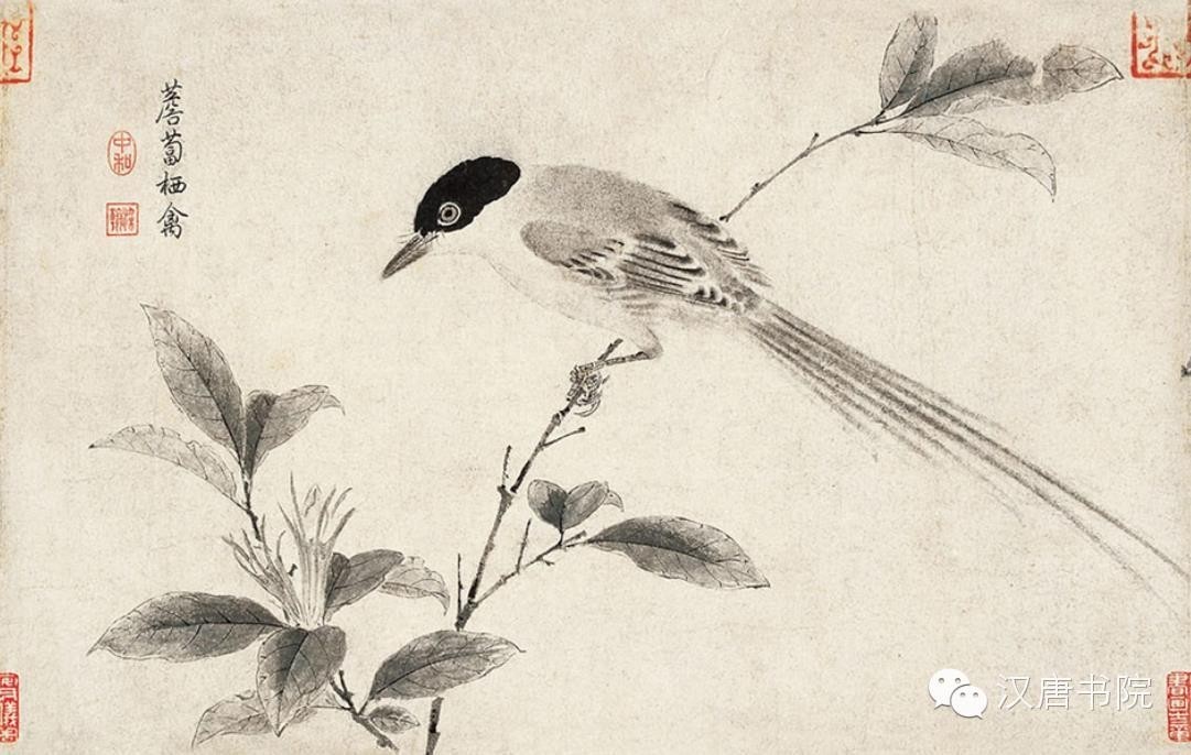 宋徽宗 赵佶 写生珍禽图卷(局部)宋 赵佶 鸲鹆图轴(传)南京博物馆藏