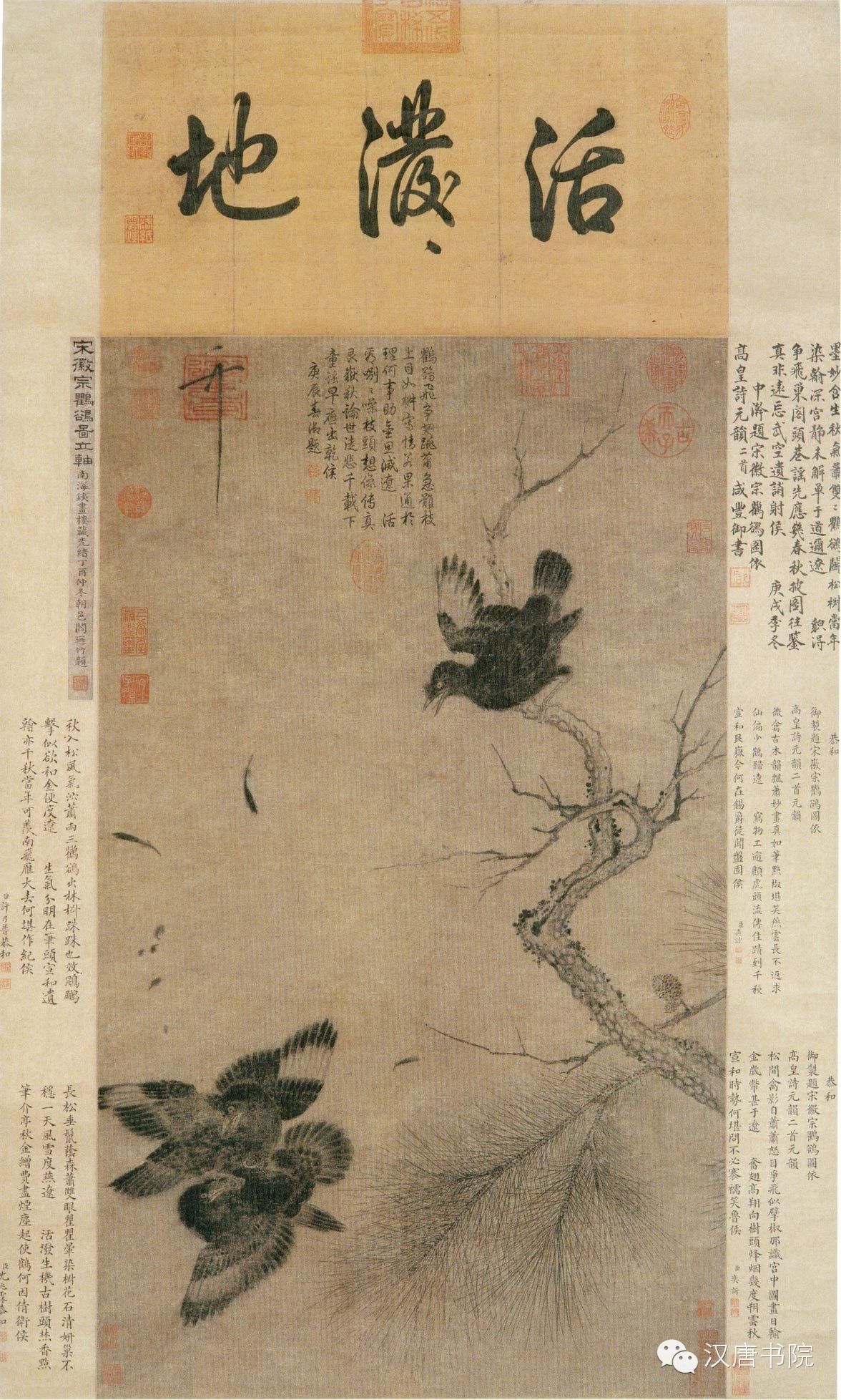 宋 赵佶 鸲鹆图轴(传)南京博物馆藏作为独立的画科,宋代的花鸟画无论